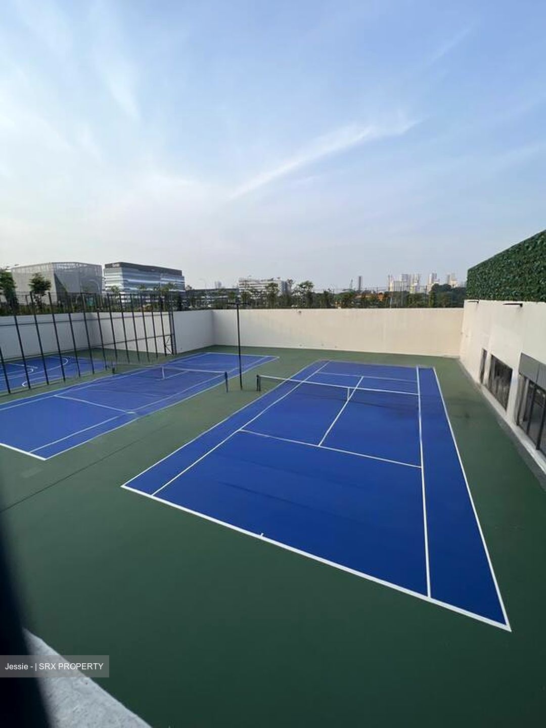 Normanton Park (D5), Apartment #473067521